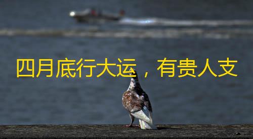 英雄联盟科技工具官网版网四月底行大运
，有贵人支持的3个生肖